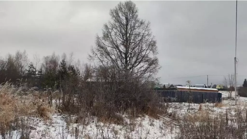 Участок в Московская область, Щелково городской округ, д. Орлово ул. ... - Фото 1