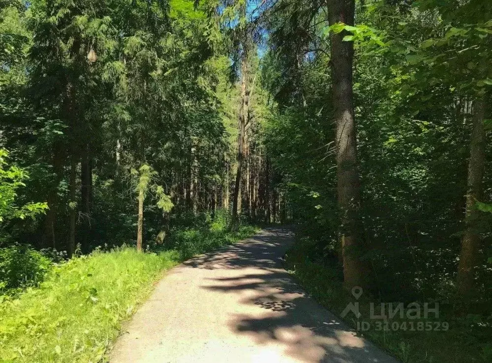 Участок в Московская область, Солнечногорск городской округ, д. ... - Фото 1