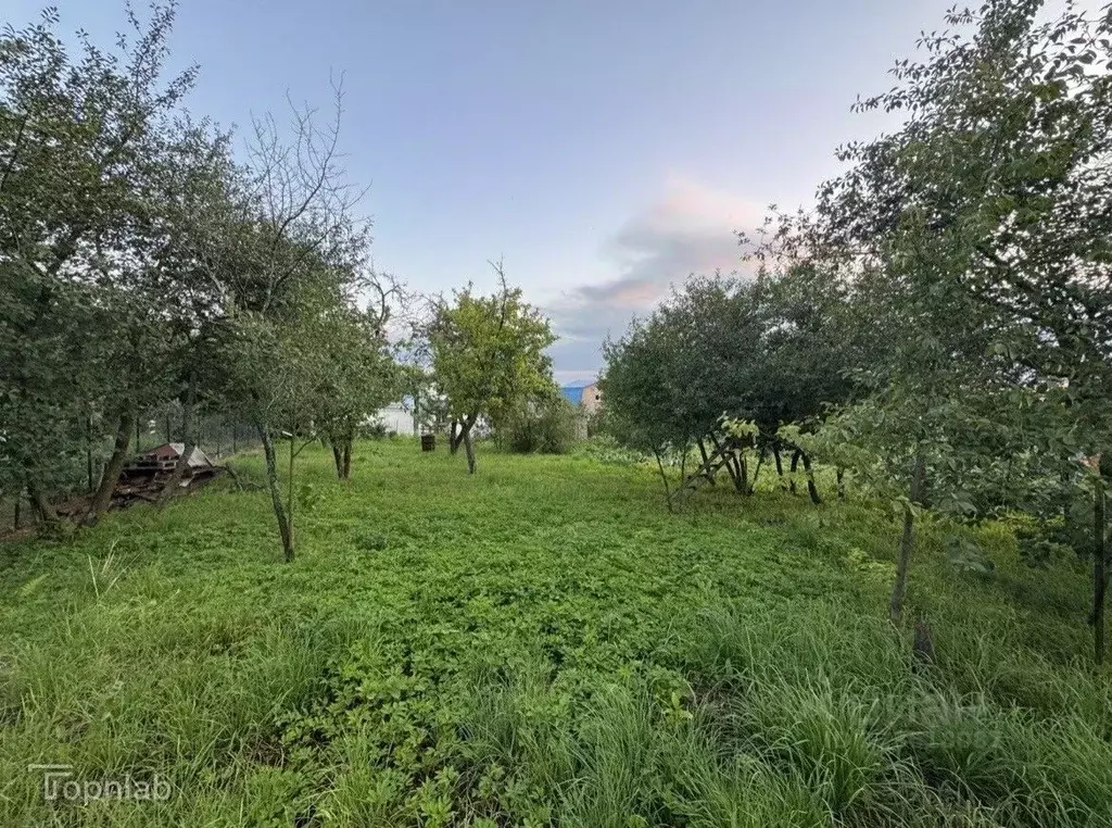 Участок в Нижегородская область, Кстово Ялта СНТ, 114 (5.05 сот.) - Фото 1