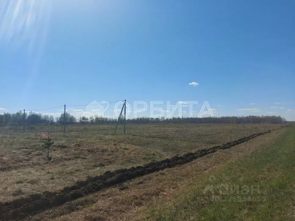 Участок в Тюменская область, Тюменский муниципальный округ, д. Марай  ... - Фото 1