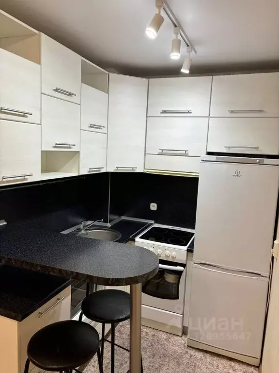 Студия Алтайский край, Барнаул тракт Павловский, 221 (25.0 м) - Фото 2