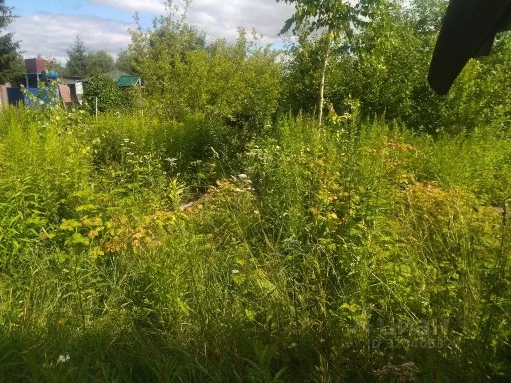 Участок в Кировская область, Кирово-Чепецк Нива СДТ,  (3.66 сот.) - Фото 2