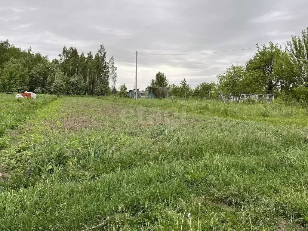 Участок в Брянская область, Брянский район, Добрунское с/пос, с. ... - Фото 1