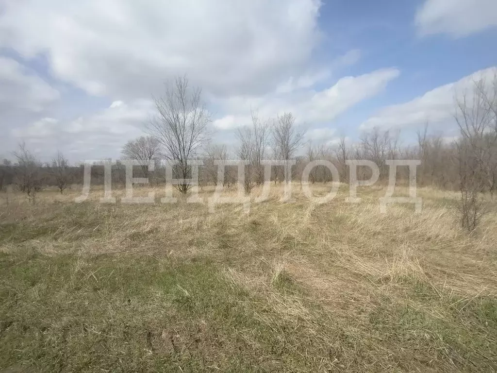Участок в Ростовская область, Родионово-Несветайский район, Волошино ... - Фото 1