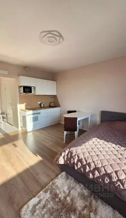 Студия Санкт-Петербург ш. Суздальское, 30к2с1 (25.8 м) - Фото 1