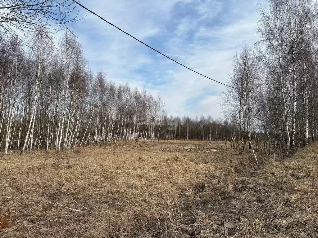 Участок в Московская область, Серпухов городской округ, д. Клейменово  ... - Фото 0