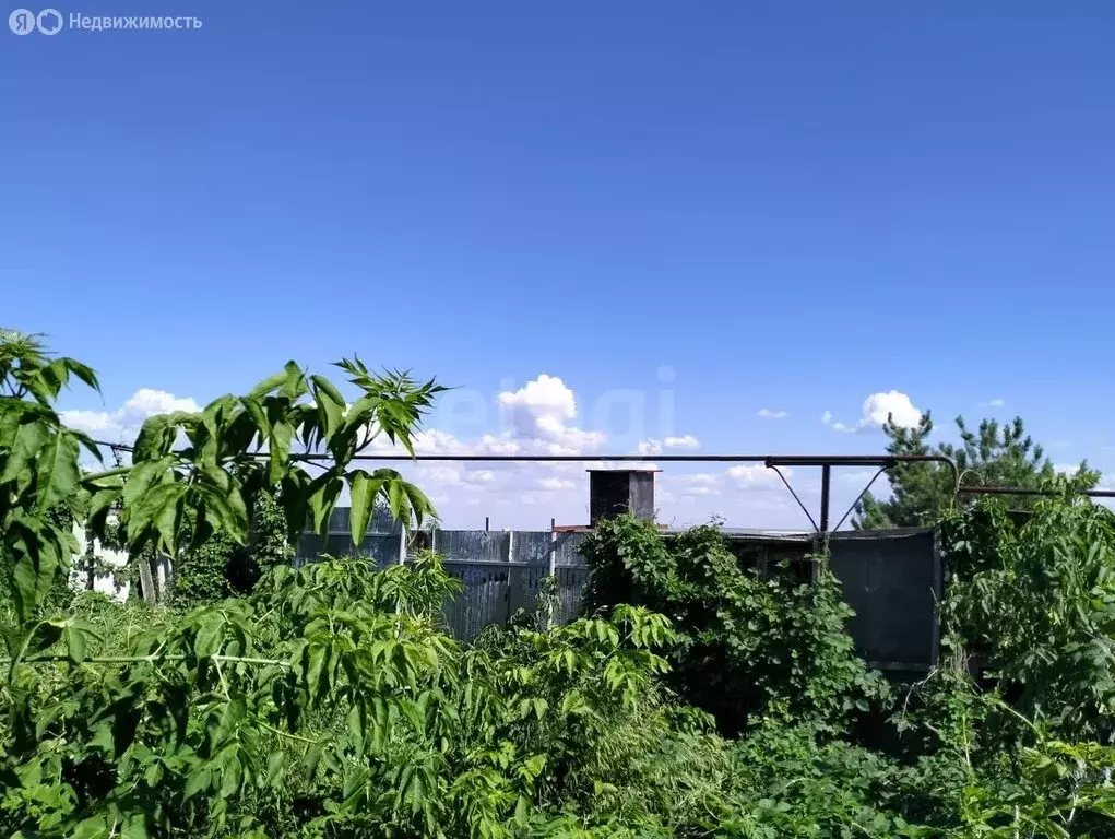 Участок в Саратов, Красновая улица, 58 (7.4 м) - Фото 2