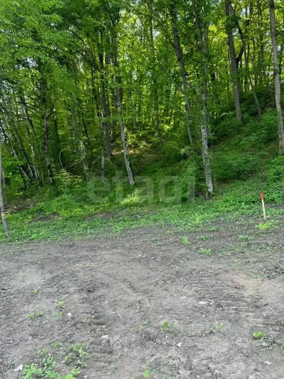 Участок в Адыгея, Майкопский район, Краснооктябрьское с/пос, Импульс ... - Фото 1