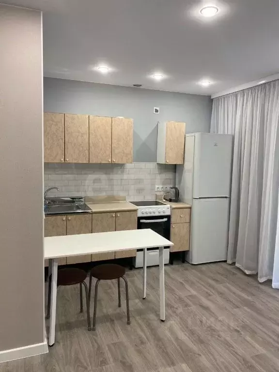 Студия Амурская область, Благовещенский район, с. Чигири ул. ... - Фото 2