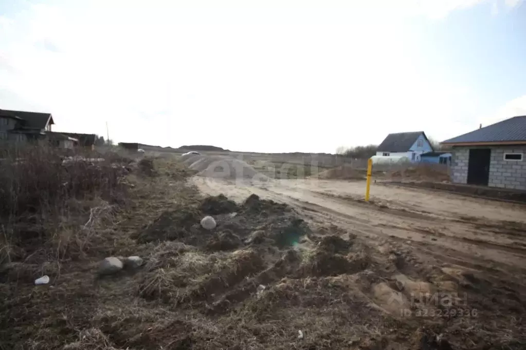 Участок в Вологодская область, Шекснинский муниципальный округ, д. ... - Фото 2