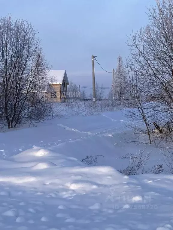 Участок в Чувашия, Моргаушский муниципальный округ, д. Чебелькасы  ... - Фото 1