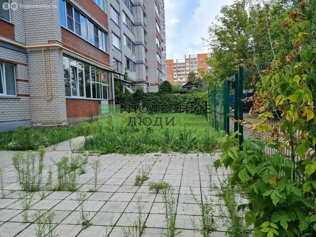 Офис (214 м) - Фото 2