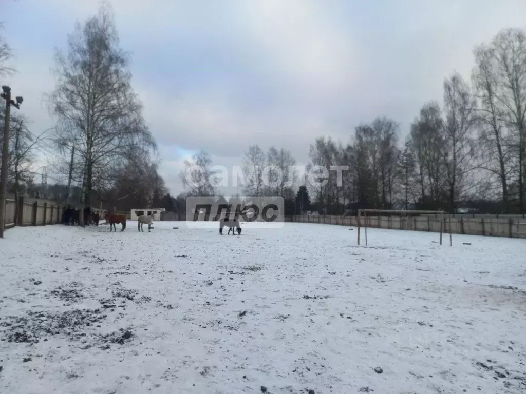 Участок в Московская область, Наро-Фоминский городской округ, д. ... - Фото 2