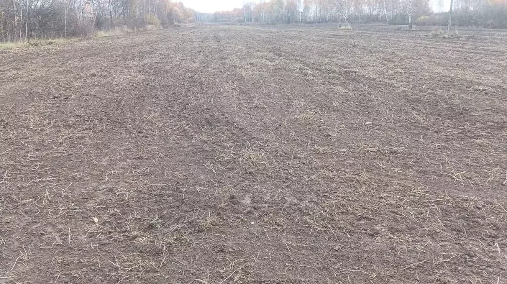 Участок в Московская область, Раменский муниципальный округ, пос. ... - Фото 1