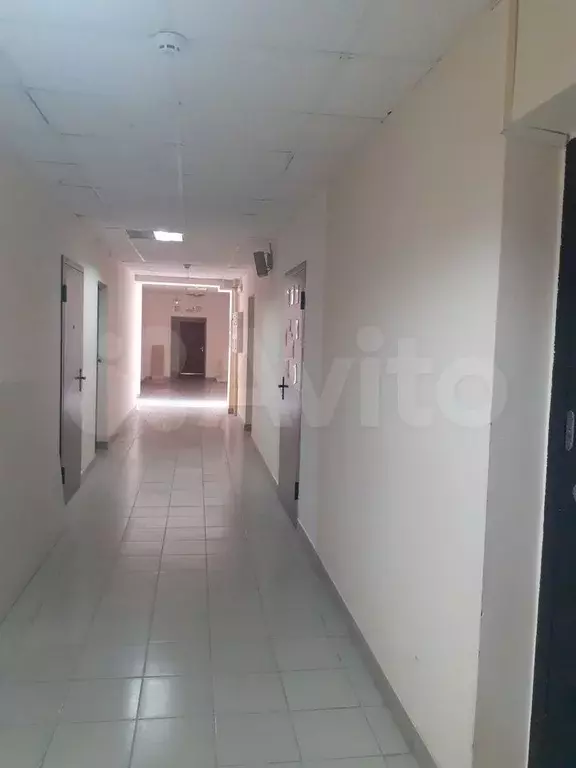 Свободного назначения, 12 м - Фото 1