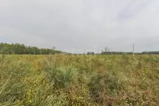 Участок в Омская область, Омск  (10.0 сот.) - Фото 0