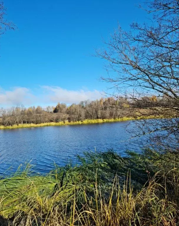 Участок в Ярославская область, Угличский муниципальный округ, д. ... - Фото 1