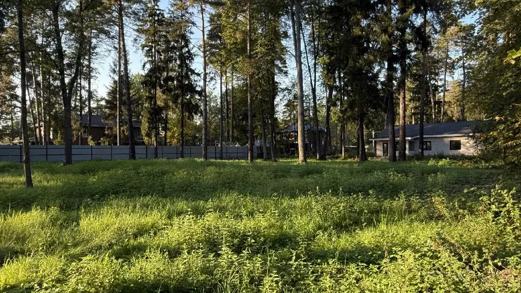 Продается участок в ДНТ Зеленая Роща - Фото 1