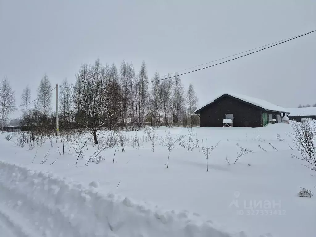 Участок в Ярославская область, Некрасовский муниципальный округ, д. ... - Фото 2