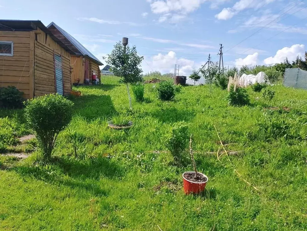 Дом в Новгородская область, Мошенской муниципальный округ, д. Слоптово ... - Фото 1