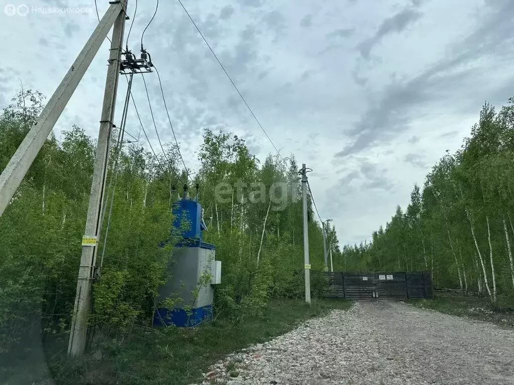 Участок в село Бабяково, Берёзовая улица (9 м) - Фото 0