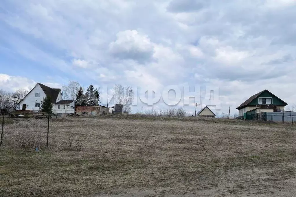 Участок в Алтайский край, Бийский район, с. Сростки Береговая ул. ... - Фото 2