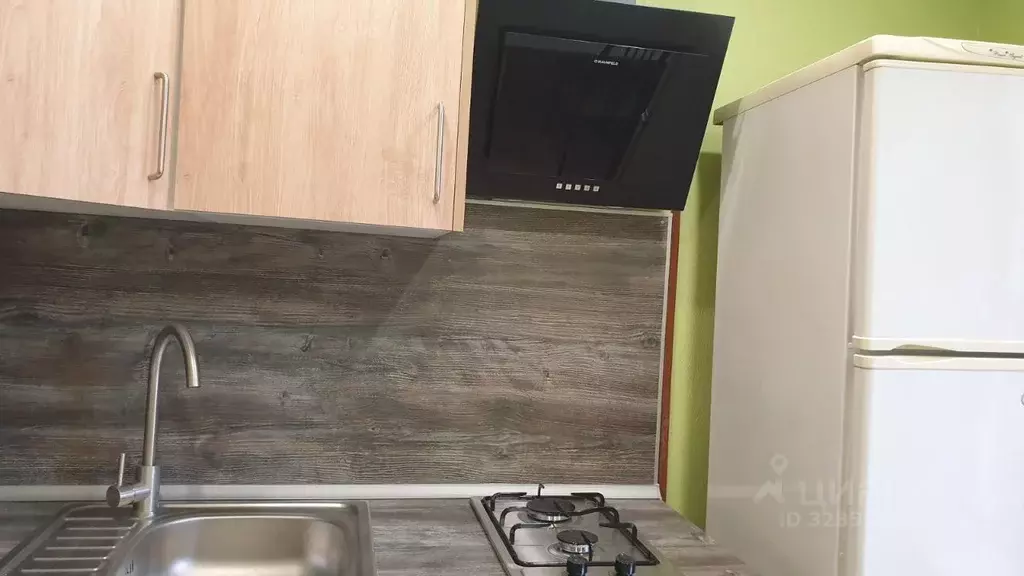 1-к кв. Санкт-Петербург Ланское ш., 24К1 (31.0 м) - Фото 1