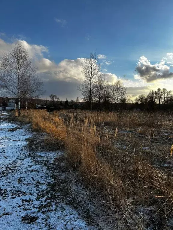 Участок в Московская область, Ступино городской округ, д. Съяново  ... - Фото 0