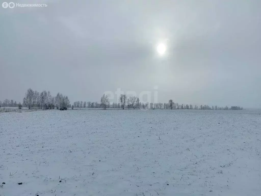 Участок в Усть-Коксинский район, посёлок Октябрьское (950.6 м) - Фото 2