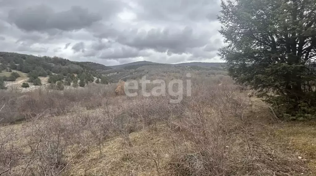 Участок в Севастополь с. Новобобровка, ул. Баденкиной, 1Д (10.0 сот.) - Фото 1