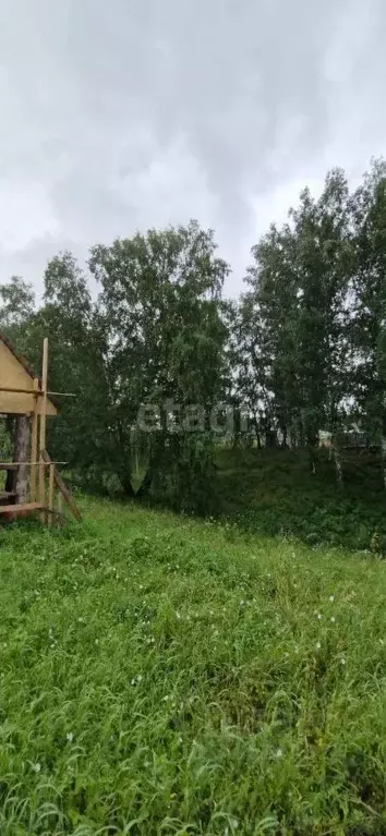 Участок в Новосибирская область, Новосибирский район, Морской ... - Фото 1