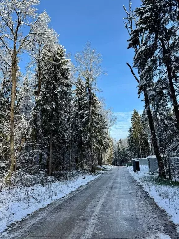 Участок в Московская область, Дмитровский муниципальный округ, д. ... - Фото 2