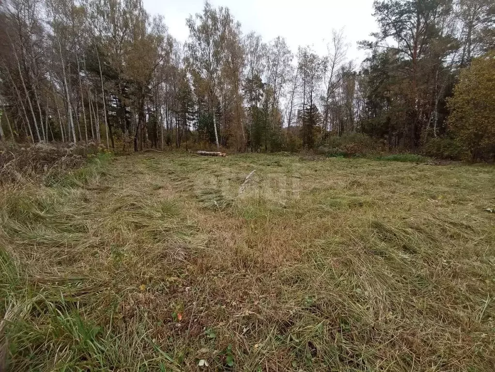 Участок в Калужская область, Малоярославецкий муниципальный округ, ... - Фото 0