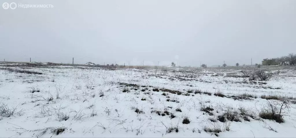 Участок в Симферопольский район, садовые участки 3-й массив, ДП ... - Фото 2