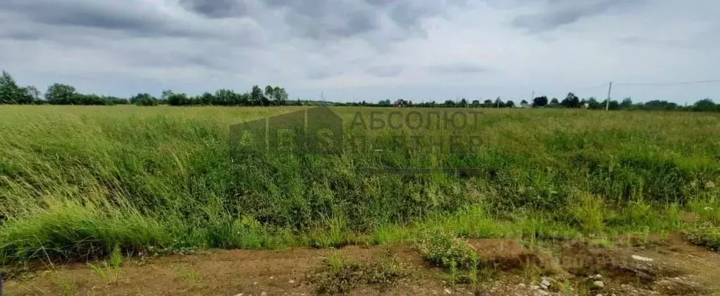 Участок в Новгородская область, Новгородский район, Борковское с/пос, ... - Фото 1