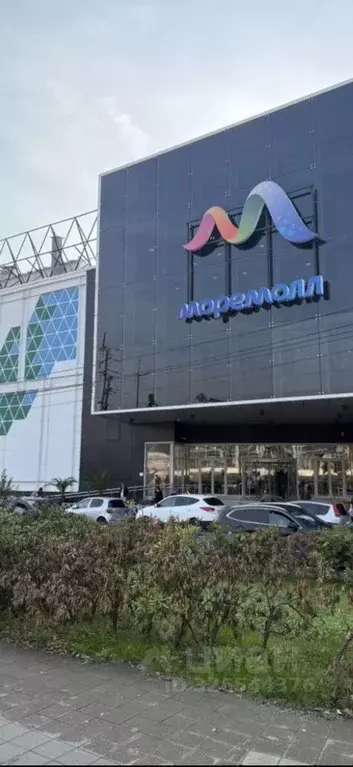 Помещение свободного назначения в Краснодарский край, Сочи Донская ... - Фото 1