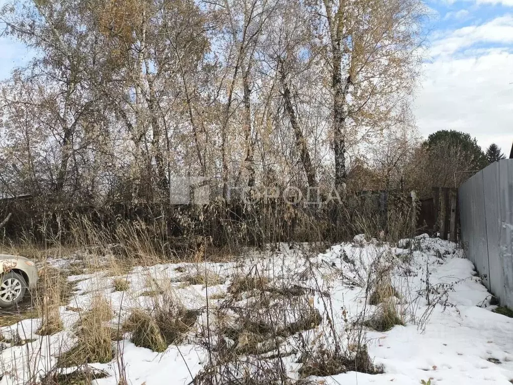 Участок в Новосибирская область, Новосибирск Березовый проезд, 21 ... - Фото 2