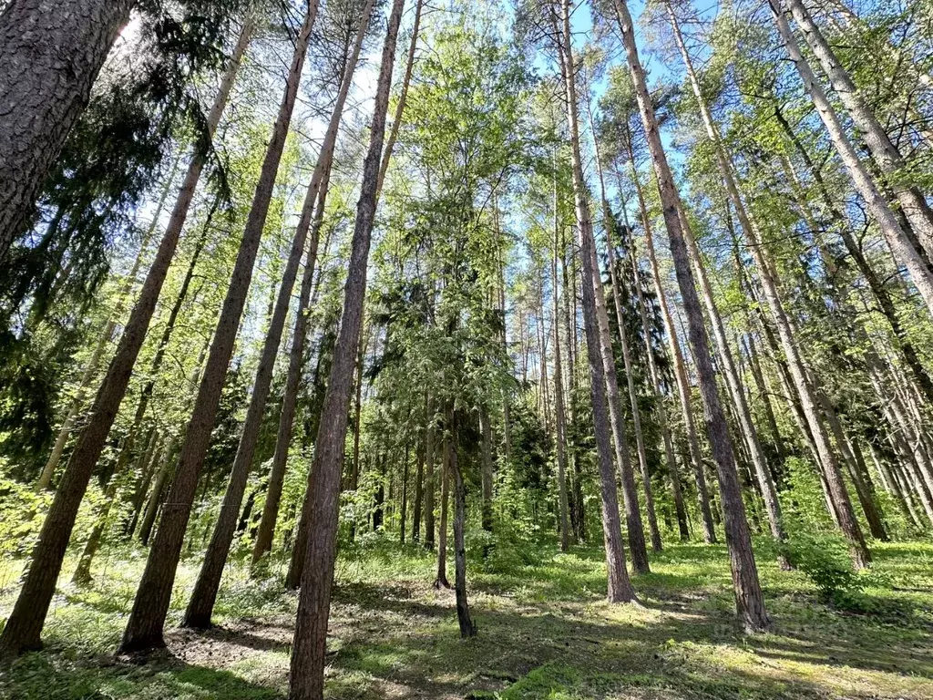 Участок в Московская область, Одинцовский городской округ, пос. ... - Фото 0