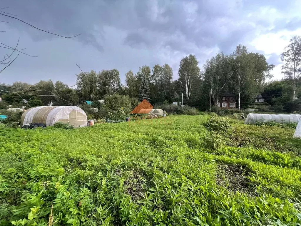 Участок в Новосибирская область, Новосибирск Заря садовое ... - Фото 0