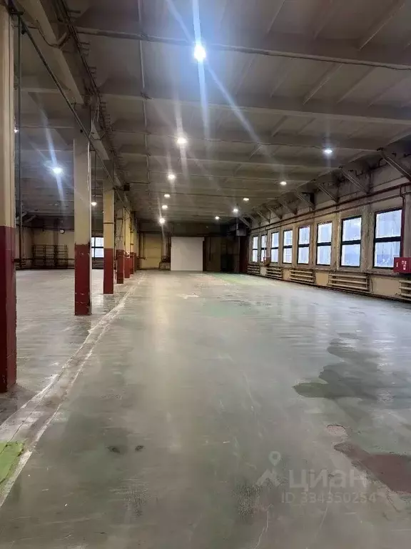 Склад в Московская область, Мытищи городской округ, пос. Вешки туп. ... - Фото 2