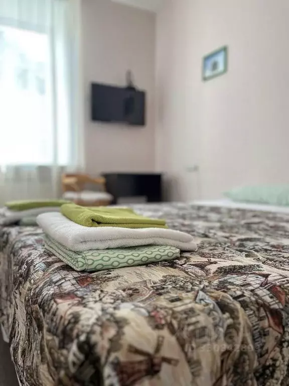 1-к кв. Санкт-Петербург Нарвский просп., 13Б (30.0 м) - Фото 2