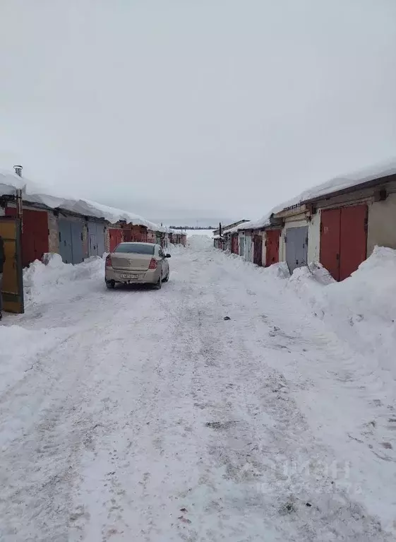 Гараж в Вологодская область, Вологда Петрозаводская ул. (22 м) - Фото 2