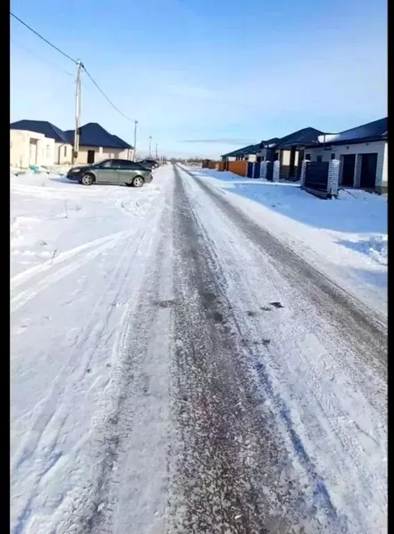 Дом в Алтайский край, Барнаул городской округ, пос. Черницк ул. ... - Фото 2