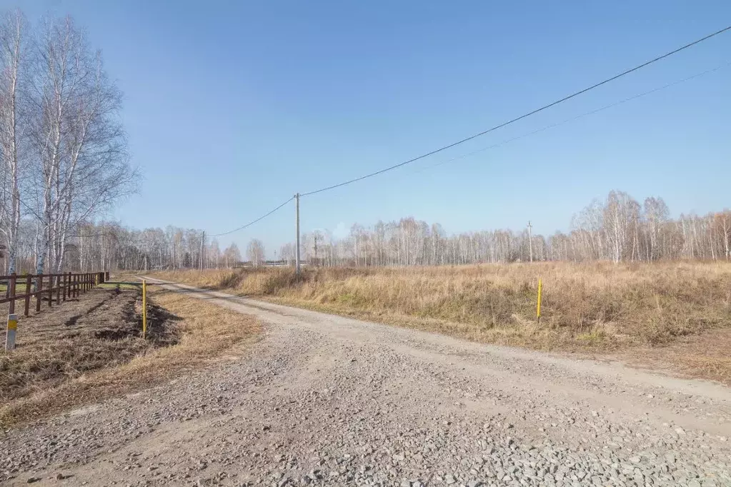 Участок в Новосибирская область, Новосибирский район, Барышевский ... - Фото 0