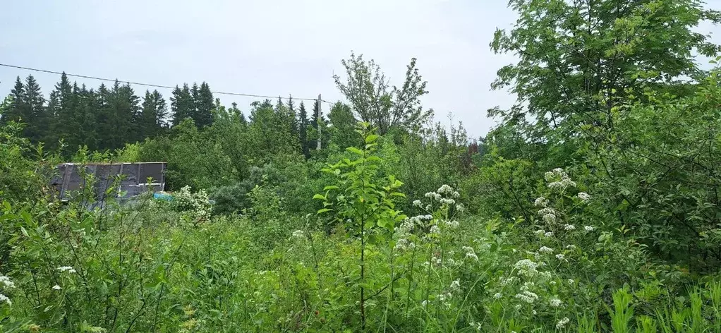 Дом в Пермский край, Пермь № 211 СНТ, 118 (16 м) - Фото 2