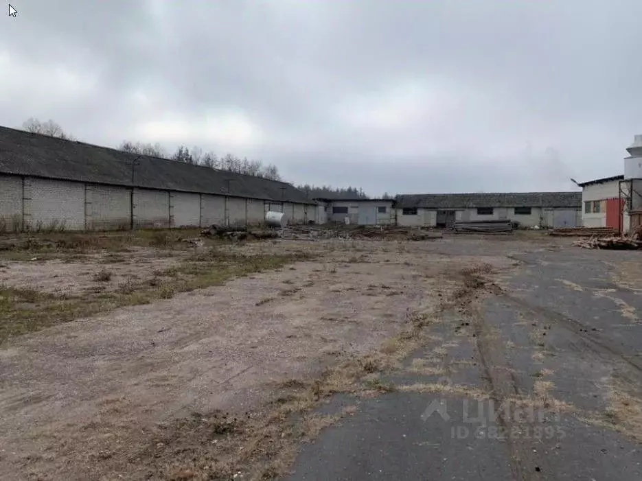 Склад в Брянская область, Трубчевск Лесная ул, 36 (1545.3 м) - Фото 0