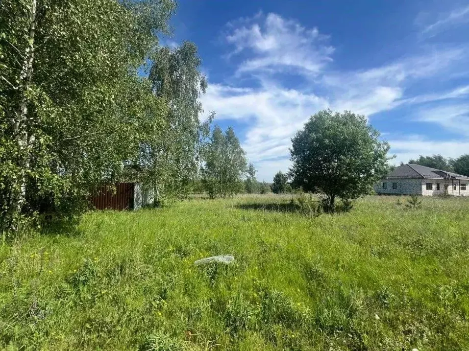 Участок в Московская область, Коломна городской округ, с. Пирочи  ... - Фото 0