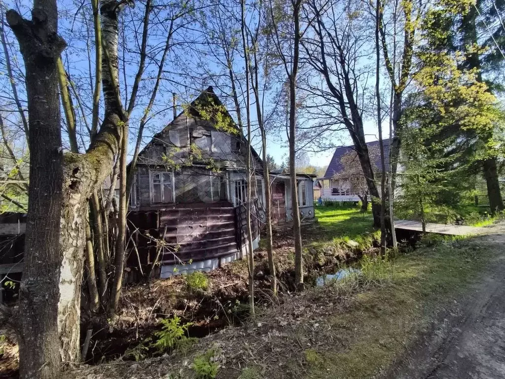 Участок в Ленинградская область, Кировский район, Синявинское ... - Фото 1