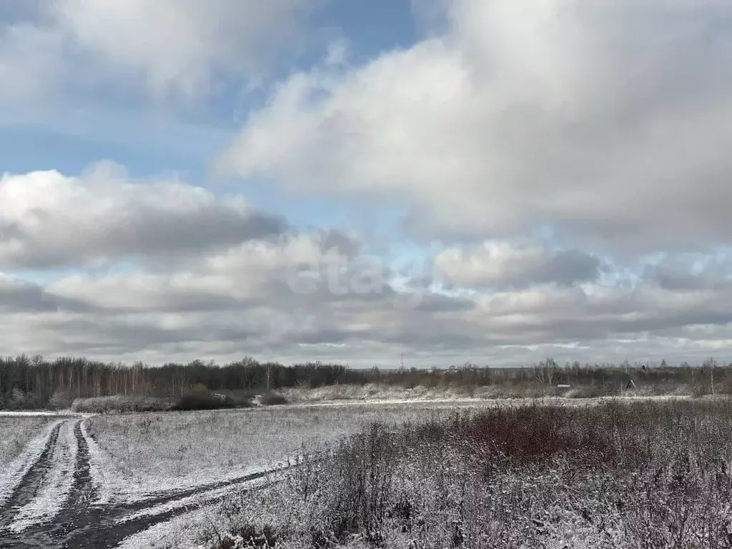 Участок в Мордовия, Саранск Восход садоводческое товарищество,  (4.0 ... - Фото 1