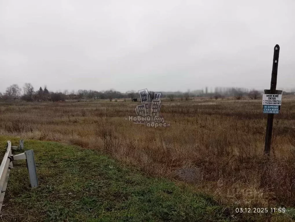 Участок в Воронежская область, Новоусманский район, Усманское 1-е ... - Фото 2